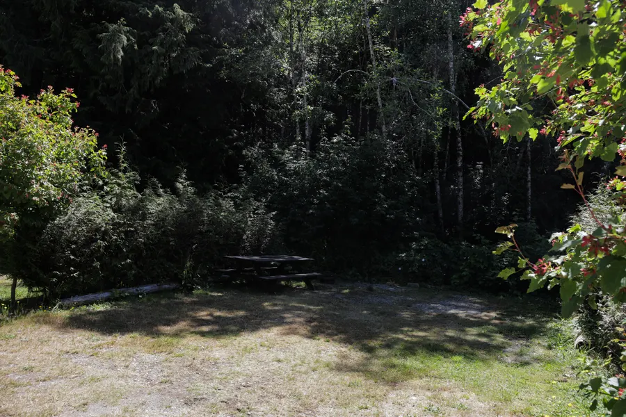 A quiet forest campsite with a picnic table